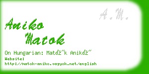 aniko matok business card